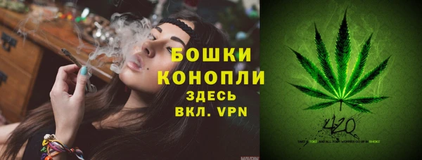 меф Гатчина