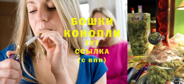 меф Гатчина